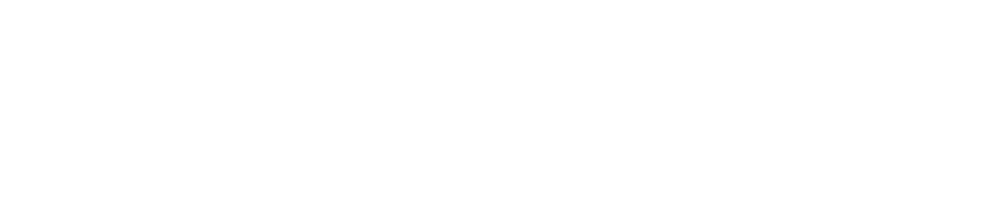 The Accessory Group